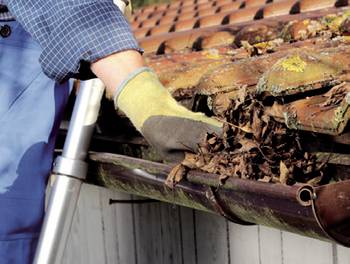 Unfallversicherung - Gartenarbeit Unfallversicherung - Gartenarbeit